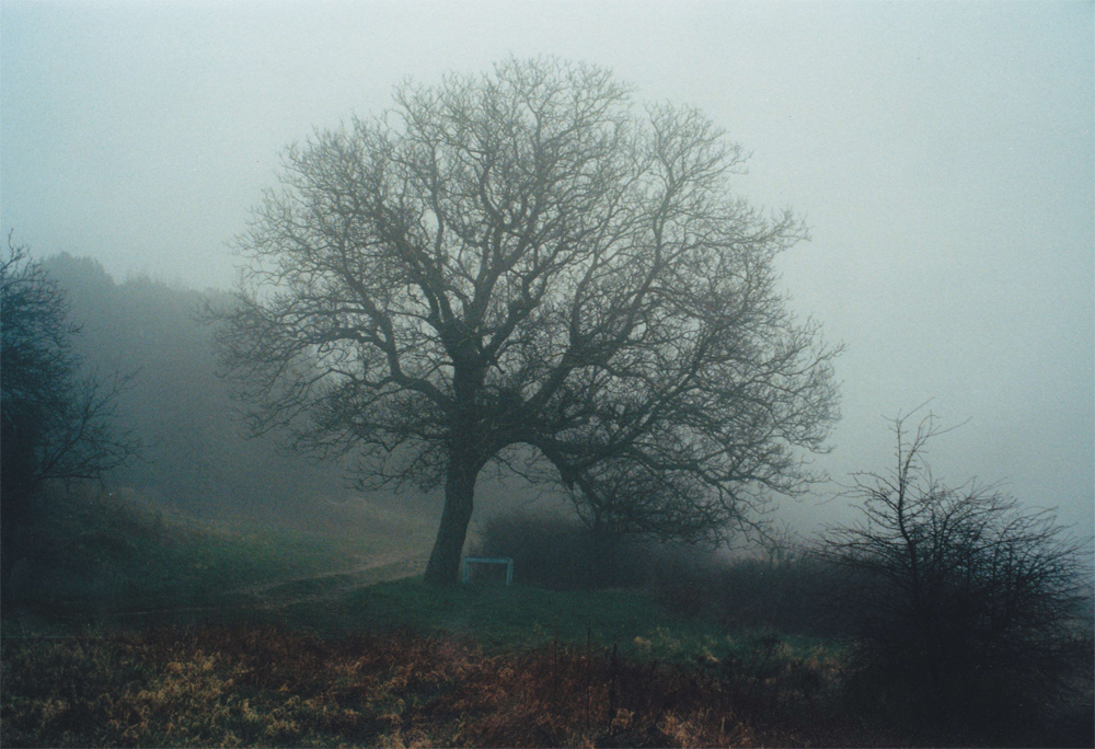 dialogue hivernal, 1996